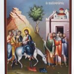 Βαϊοφόρος σε Ξύλο Σημύδας